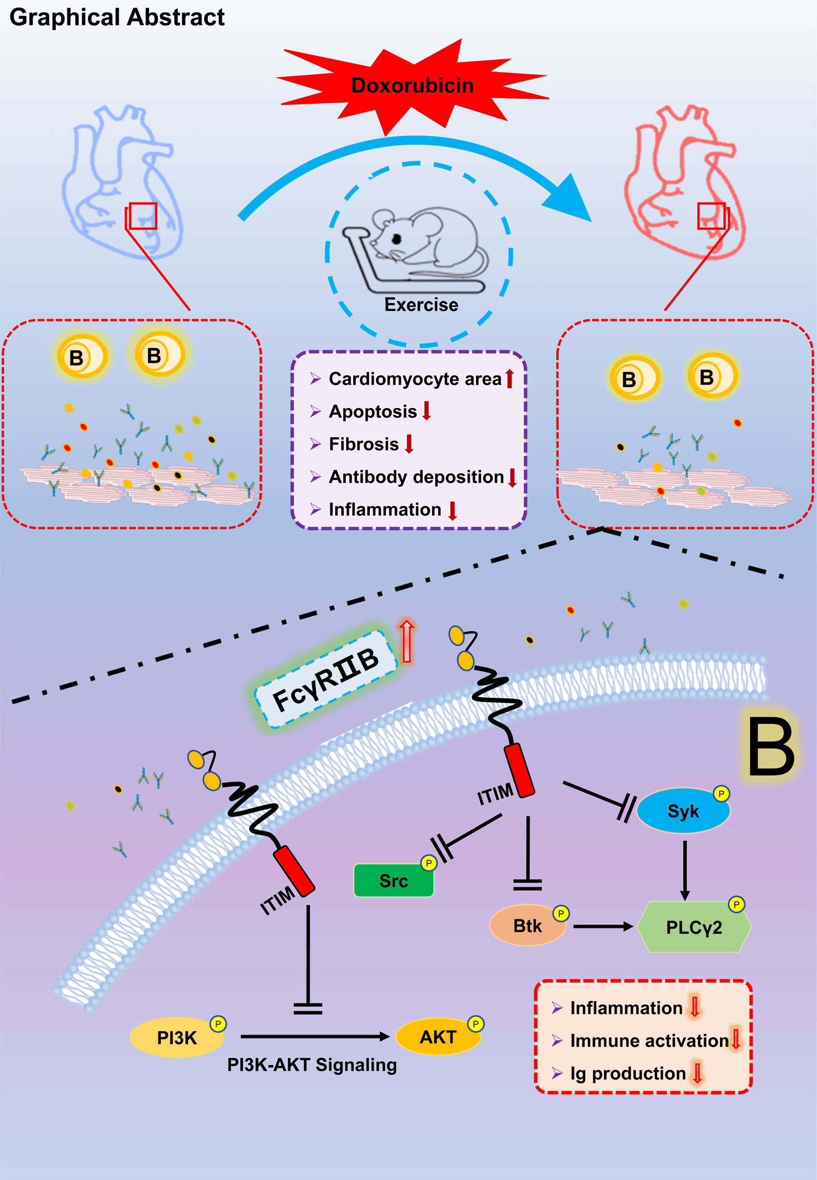 82536FE5FE18AAE4D5214F8AA2D_7911A90F_57D98