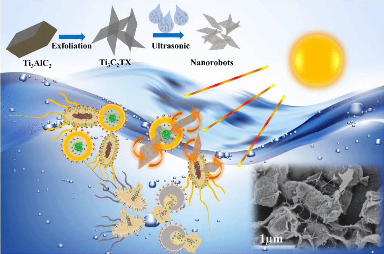 71FF0D9D62868C9A0818915566A_9A5E852C_59EE3