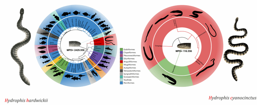 684C7BB484C133F1D1CB7AC4C4B_55BDA29D_E86C
