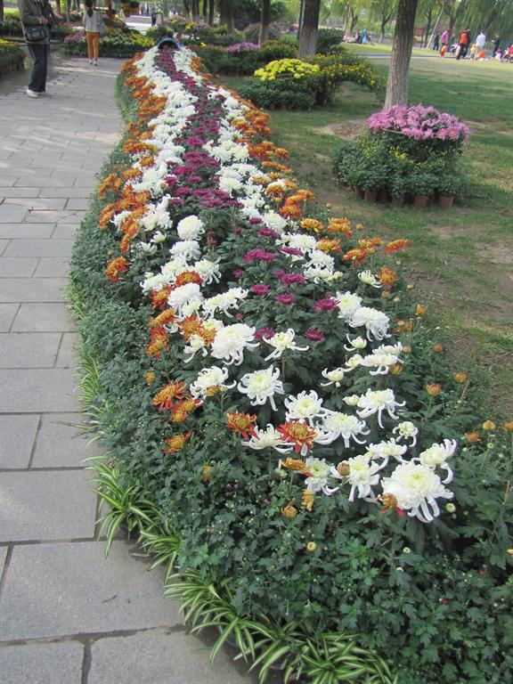 UU国际(中国区) - 官方网站