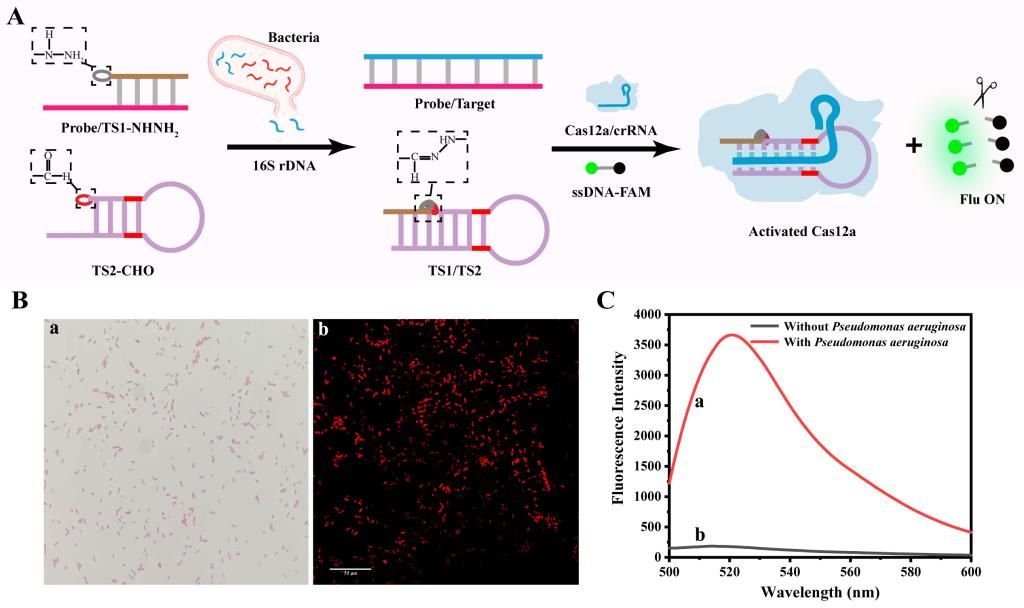 4E9FA702D57A6586FCBA2B79FFC_EA0097FD_10E66.jpg?e=