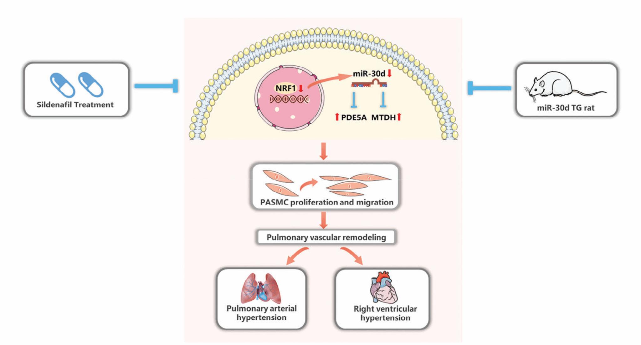 AD9007D9F71254B8449DB875A0D_7B75F09A_37BD5