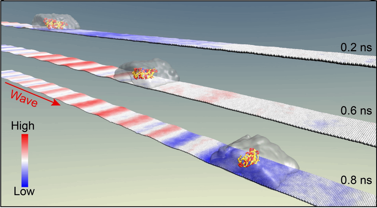 UU国际(中国区) - 官方网站